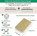 Natural Kitchen Sponge Compostable Kitchen Sponges Cellulose and Coconut Scrubber Abrasive Scrubbing Pads Smilepowo Environmentally Friendly