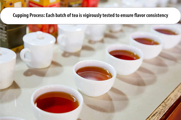 Cozy up 10 Flavors Variety Tea Sampler Compatible with Keurig K-Cup Brewers, 100-Count