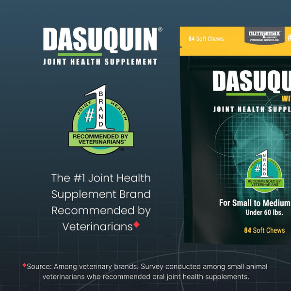 Nutramax Dasuquin MSM Joint Supplement, Small/Med Dogs, Soft Chews, 84ct | Glucosamine and Chondroitin, ASU & MSM, Dog Joint Support, For Dogs