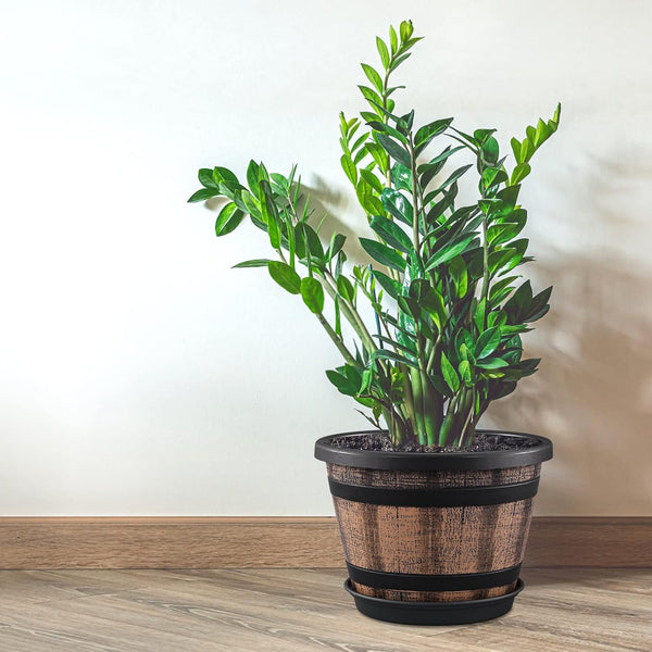 Quarut 3 Pack 10 inch Plant Pots with Drainage Holes & Saucer 10 inches
