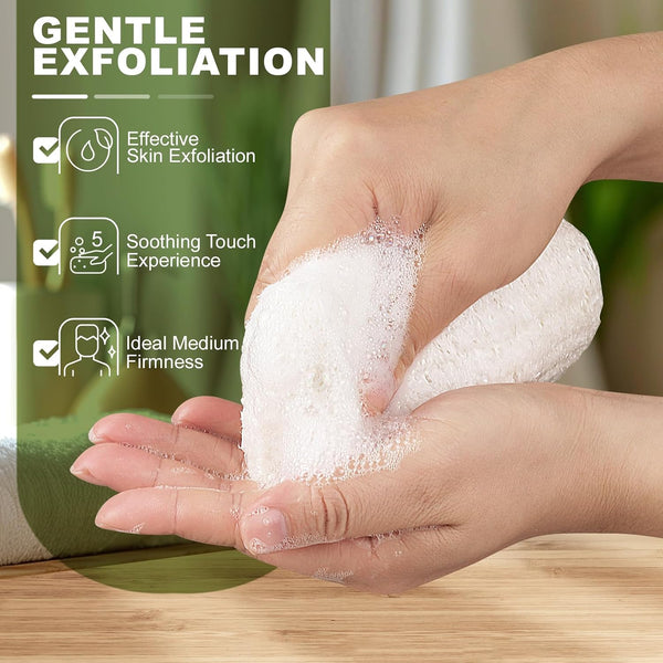 5 Inch Natural Loofah Sponge Exfoliating Body Scrubber 1 Count (Pack of 3)