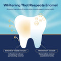 Lumineux Teeth Whitening Strips, Peroxide Free, 9 Treatments (1 Month) | Peroxide free, enamel safe, dentist formulated, clinically tested &