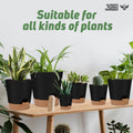 YNNICO Indoor Self Watering Planters with Drainage Holes and Saucers, 8, 7, 6.5, 6, 5.5, 5 Inches, Black, 6 Pots 8+7+6.5+6+5.5+5 inch Black