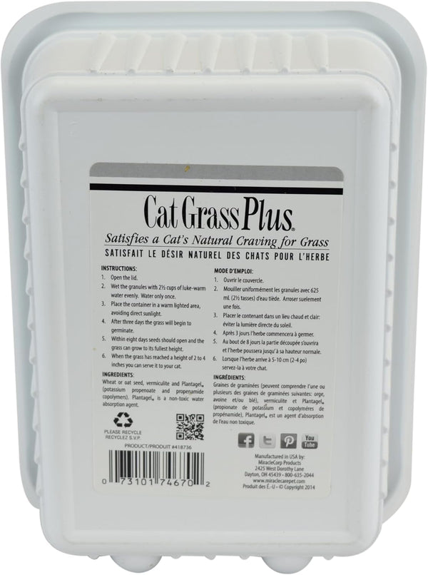 Miracle Care Cat A'bout Cat Grass Kit, 5.25 Ounce | Easy to Grow Seeds + Planter for Indoor Cats, Natural Fiber Aids Digestion, Reduces Hairballs,