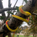 Realistic Rubber Snakes to Keep Birds Away - 4 Pieces 29 Inch Fake Snake Toys for Garden Props to Scare Birds, Mice, Squirrels,Pranks, Halloween