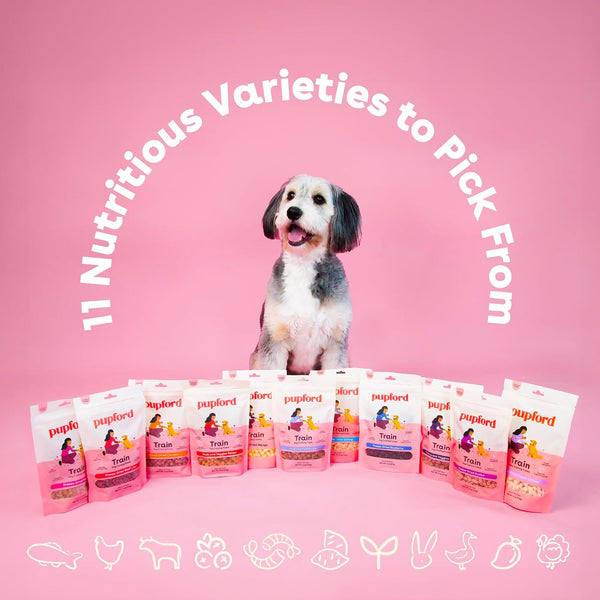 Pupford Freeze Dried Training Treats for Dogs & Puppies (Chicken, 4 oz) Chicken 4 Ounce (Pack of 1)