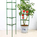 30PCS Stake Arms for Tomato Cage?Expandable Trellis Connectors-11.8" with 2 Buckles for Tomato Cage Attach 11Mm Diameter Plant Stakes