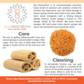 Spa Baby Absorbent Natural Bath Sponge Spa Destinations. Ultra Soft Premium Sea Wool Sponge, Biodegradable, Bath Accessories Baby and Kids, Infant
