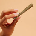 ZIG-ZAG Hemp Wraps 25-Pack - OG Purp (2 Wraps Per Pack) | slow burning xtra large rolling papers