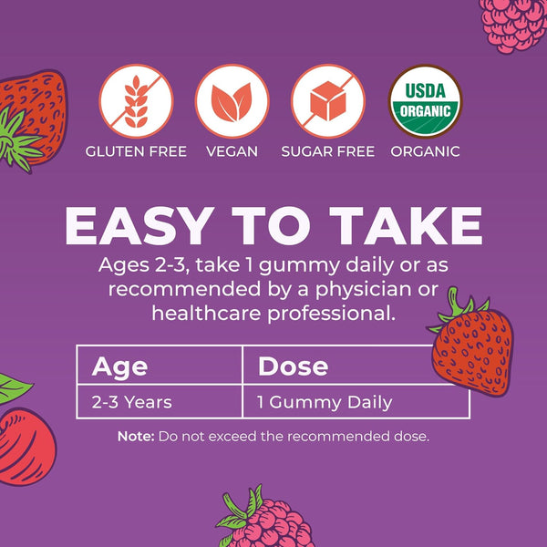 Maryruth Organics Vitamin Gummy | Kids and Toddlers Age 2+ | USDA | Daily Vitamin C | D3 | Zinc | Mixed Berry and Cherry | 2 Month Supply