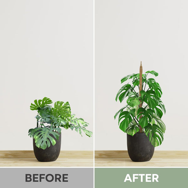 2 Pack 28'' Bendable Moss Pole Monstera Plant Support for Climbing Indoor Plants - Stakes for Potted Climbers - Tall Sticks Indoor Trellis for