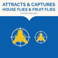 Hot Shot Flying Insect Trap, Discreet, Trap Attracts, Captures and Kills House Flies and Fruit Flies, 24/7 Continuous Attraction, No Plug-In or
