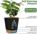 YNNICO Indoor Self Watering Planters with Drainage Holes and Saucers, 8, 7, 6.5, 6, 5.5, 5 Inches, Black, 6 Pots 8+7+6.5+6+5.5+5 inch Black
