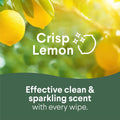 Clorox Disinfecting Wipes Value Pack, Bleach Free Cleaning Wipes, 75 Count Each, Pack of 4