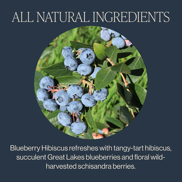 Rishi Tea Blueberry Hibiscus Organic Herbal Tea Bags, Caffeine Free, 15ct Blueberry Hibiscus 15 Count (Pack of 1)