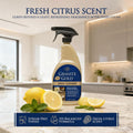 Granite Gold Daily Cleaner for Granite, Marble & Other Natural Stone & Quartz Surfaces, 32 Ounces 32 Fl Oz (Pack of 1)