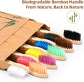 Virgin Forest Bamboo Toothbrushes 10pk, Soft Biodegradable BPA Free Eco Oral Care Soft bristles（10）