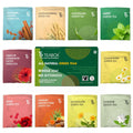 Teabox Green Tea Sampler Bags | 100% Natural I Immunity Boosting Sampler Pack | USDA Certified Organic Green Tea (20 Count (Pack of 1))