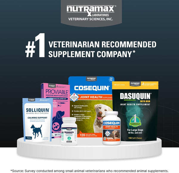 Nutramax Dasuquin MSM Joint Supplement, Small/Med Dogs, Soft Chews, 84ct | Glucosamine and Chondroitin, ASU & MSM, Dog Joint Support, For Dogs