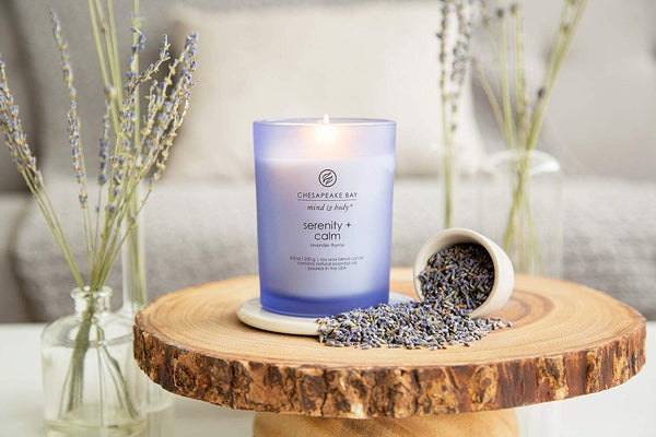 Chesapeake Bay Candle Medium Jar Scented Candle Serenity + Calm (Lavender Thyme) Home Décor Orange Gifting Idea Burn Time of 50 Hours Serenity +