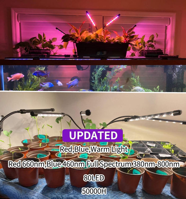 LEOTER Grow Light for Indoor Plants - Upgraded Version 80 LED Lamps with Full Spectrum & Red Blue Spectrum, 3/9/12H Timer, 10 Dimmable Level,