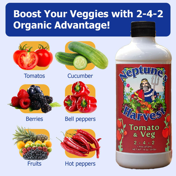 Neptune’s Harvest Organic Tomato & Vegetable Plant Fertilizer (2-4-2) - Liquid Plant Food w/Fresh Fish, Seaweed, Molasses, Yucca Extract, & Humic
