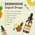 Berberine Supplement with Ceylon Cinnamon - Berberine Liquid Drops with Turmeric Curcumin, Ceylon Cinnamon, Bitter Melon, Berberine Phytosome for