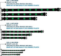 Buckle-Down 6-9" St. Pat'S Black/Green Plastic Clip Collar, Narrow Small 1/2" Wide - Fits 6-9" Neck - Small