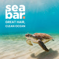 Shampoo Bar Refill - All Natural Hair Shampoo - Vegan, Sulfate-Free, Eco Friendly Zero Waste Reusable Packaging, SeaBreeze