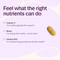 New Chapter Women'S Multivitamin 40 plus for Energy, Healthy Aging + Immune Support with 20+ Nutrients -- Every Woman'S One Daily 40+, Gentle on