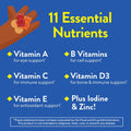 L'Il Critters Gummy Vites Daily Kids Multivitamins Assorted Fruit Flavors for Ages 2+ Toddlers & Kids, Gummy Vitamin with Vitamin C and D, 95-190