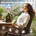 Diffuserlove Essential Oil Diffuser 300ML Train Cool Mist Humidifier Quiet Aromatherapy Diffuser with Night Light for Bedroom Desk Copper