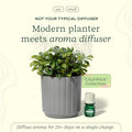 Lifelines Plant Diffuser with Essential Oil Blend - Modern Planter, Succulent - Rechargeable Aromatherapy Diffuser, Artificial Faux Plants Home &