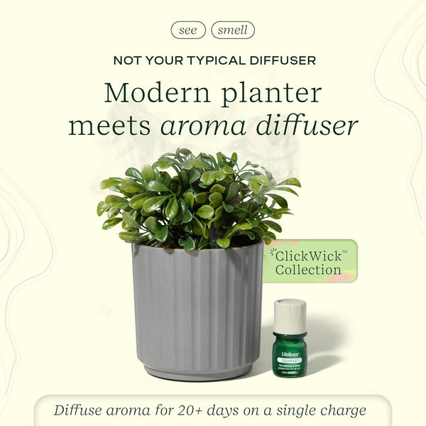 Lifelines Plant Diffuser with Essential Oil Blend - Modern Planter, Succulent - Rechargeable Aromatherapy Diffuser, Artificial Faux Plants Home &