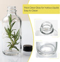 10 Pack, 4 oz Small Clear Glass Bottles w/Lids & 3 Stainless Steel Funnel - 120ml Boston Round Sample Bottle for Potion, Juice, Ginger Shot,