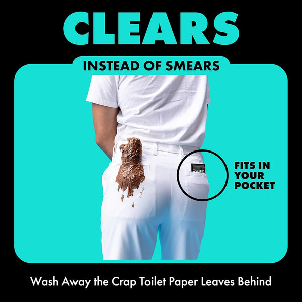 DUDE Wipes - On-The-Go Flushable Wipes - 1 Pack, 30 Wipes - Mint Chill Extra-Large Individually Wrapped Adult Wet Wipes - Eucalyptus & Tea Tree