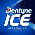 Dentyne Ice Peppermint Sugar Free Gum, 9 Packs of 16 Pieces (144 Pieces) | Chewing Gum, Perfect for Long Lasting Fresh Breath at School, Work &