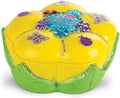 Melissa & Doug Created by Me! Favorite Things Craft Kits Set: Decorate-Your-Own Flower and Heart Treasure Boxes and Butterfly Bank