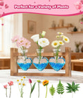 Nacome Plant Terrarium with Wooden Stand, 3 Heart Bulb Glass Vases Transparent