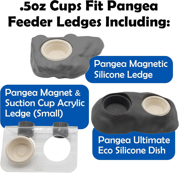 Pangea Small 0.5oz Paper Gecko Food & Water Cups, 100 ct.