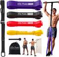 Ally Peaks Pull up Assistance Bands System,Up to 410 Lbs Assistance, Resistance Bands,Adjustable and Replaceable Pull up Assist Band,Assisted Pull