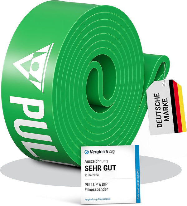 PULLUP & DIP Fitness Bands, Resistance Bands with Bag, Door Anchor (With Sets) and Exercise Guide - Single & in Value Set, Pull-Up Band Fitness