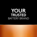 Duracell Coppertop AAA Batteries, 16 Count, 12-Year Shelf Life 16 Count (Pack of 1)