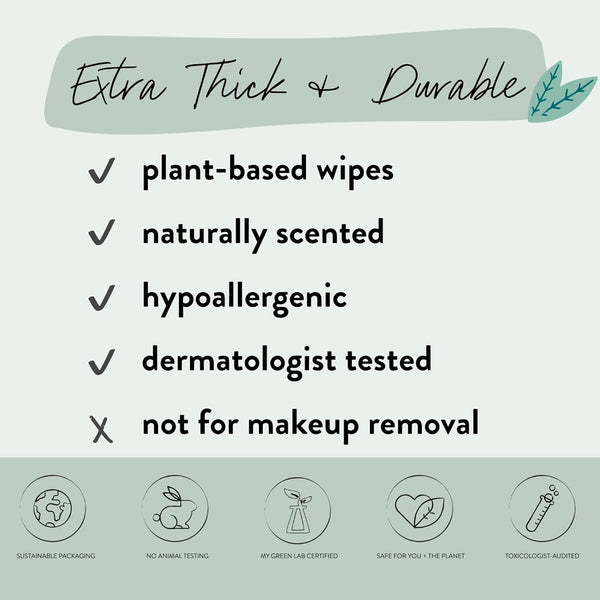 The Honest Company Hydrate + Cleanse Naturally Scented Wipes | Cleansing Multi-Tasking Wipes | 99% Water, Plant Based, Hypoallergenic | Aloe +