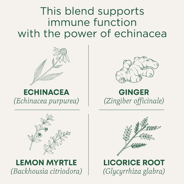 Traditional Medicinals Organic Immune Zoom Lemon Ginger, 16 Tea Bags Immune Zoom Lemon Ginger 16 Count (Pack of 1)