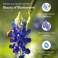 Created By Nature Texas Bluebonnet Seeds, 750+ Wildflower Seeds, Texas State Flower