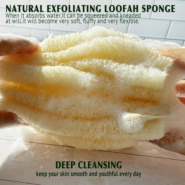 Natural Shower Loofah Sponge, Bath Exfoliating Loofa Body Scrubber, 5.5 “Soft and Easy Foaming Spa Lufa Sponges (3 Pack) 3 Count (Pack of 1)