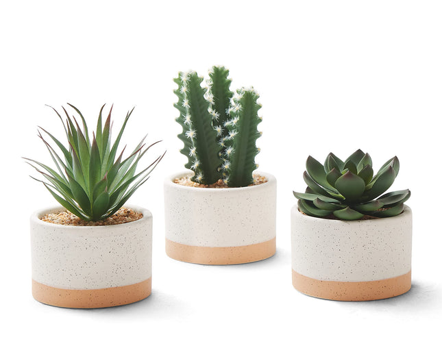 Artificial Succulent Plants in Ceramic Pots, Faux Assorted Succulents Fake Cactus Plants for Home Decor, Bedroom, Office