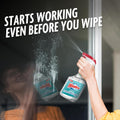 Windex Vinegar Glass and Window Cleaner, Removes Grease and Grime, 23 oz 23 Fl Oz (Pack of 1)