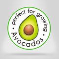 Down To Earth All Natural Fertilizers Organic Citrus Mix - Plant Food for Lemons, Limes, Oranges and Avocados 6-3-3, 1 lb